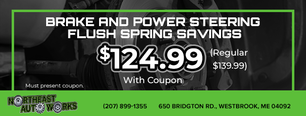 Brake and Power Steering Flush Special